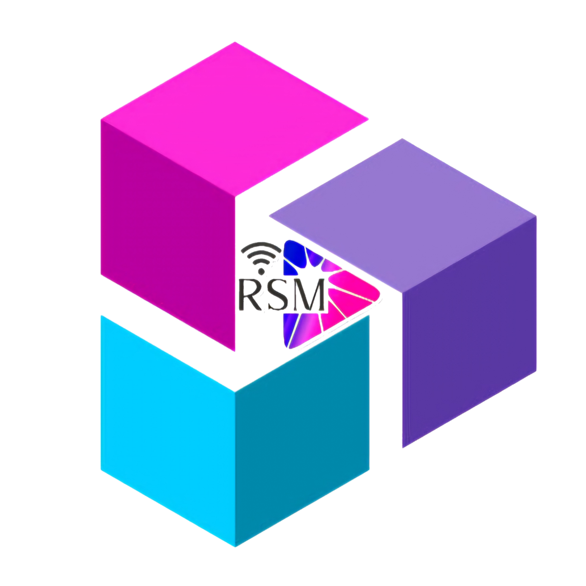 RSM DEVELOPMENT HUB